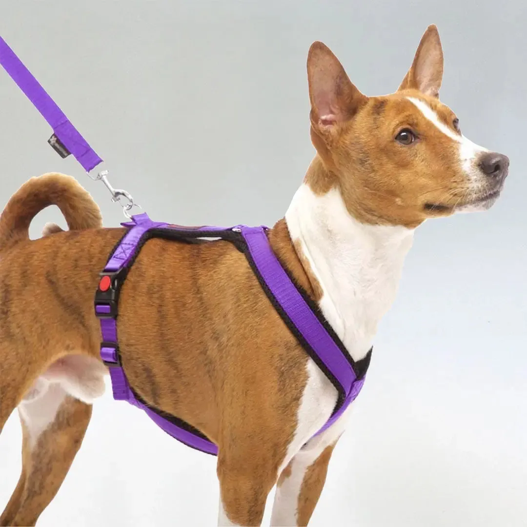 Sofa Dog Wear Sportgeschirr "Little" - purple