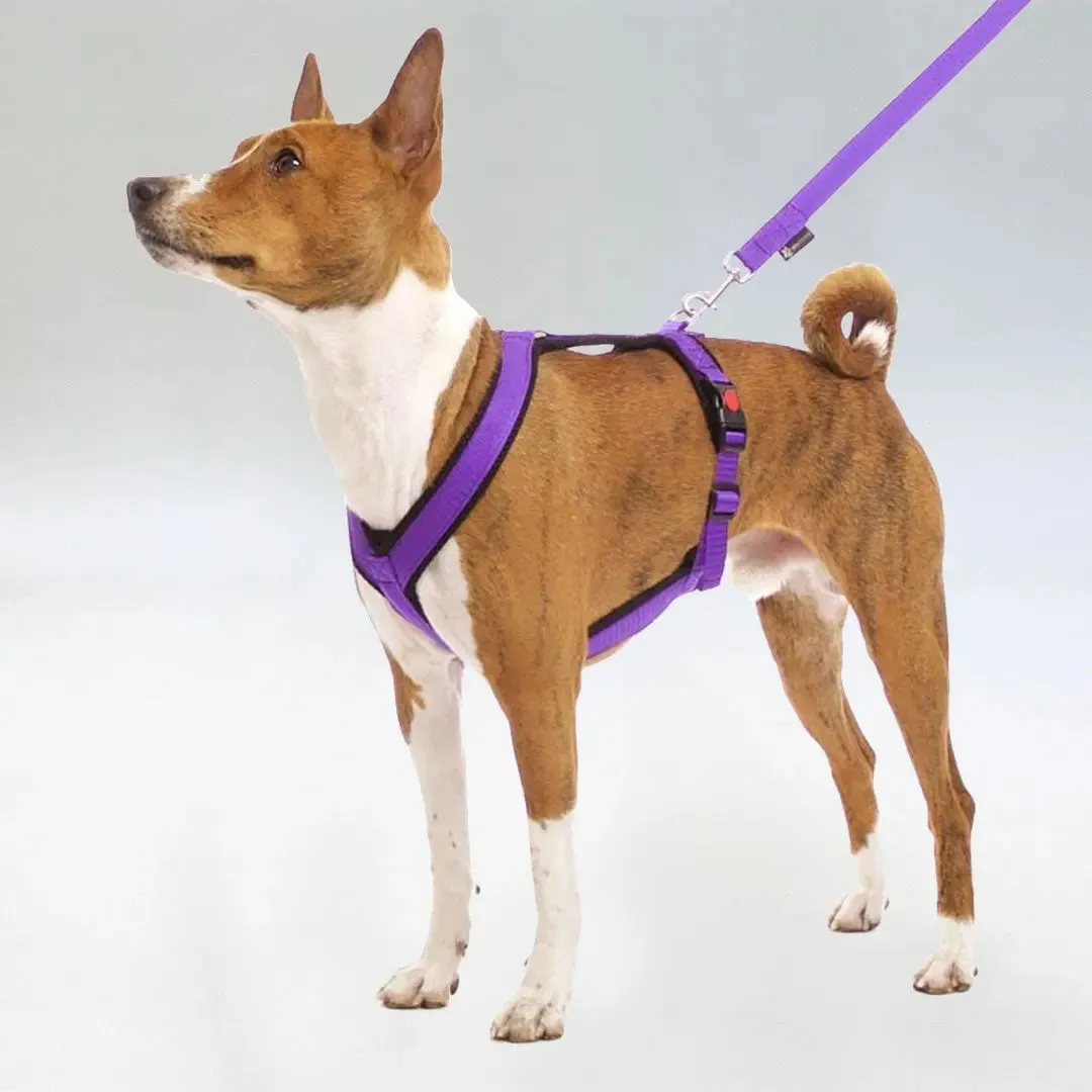 Sofa Dog Wear Sportgeschirr "Little" - purple