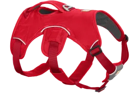 Web Master™ Dog Harness with Handle